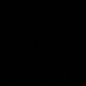 Meet your Posher, Zeke